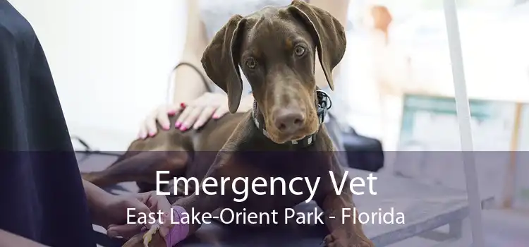 Emergency Vet East Lake-Orient Park - Florida