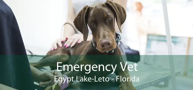 Emergency Vet Egypt Lake-Leto - Florida