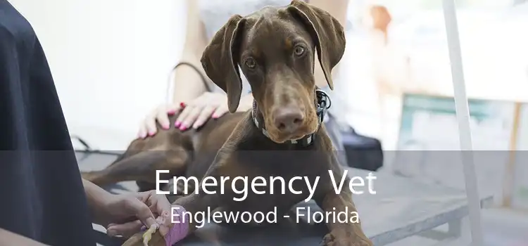 Emergency Vet Englewood - Florida