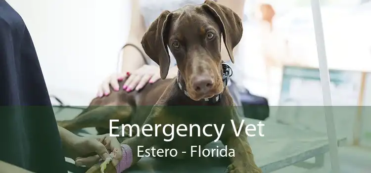 Emergency Vet Estero - Florida