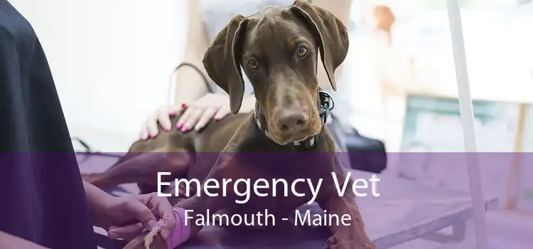 Emergency Vet Falmouth - Maine