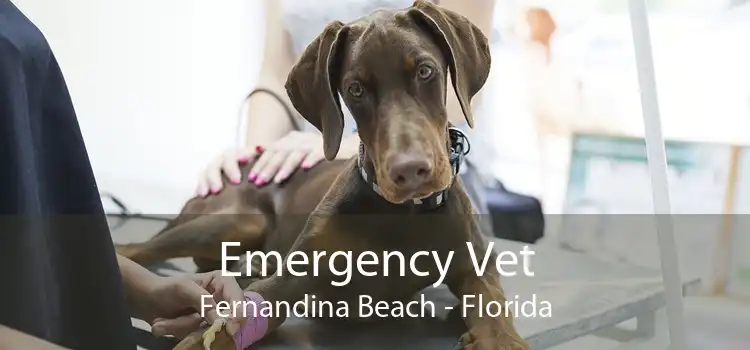 Emergency Vet Fernandina Beach - Florida