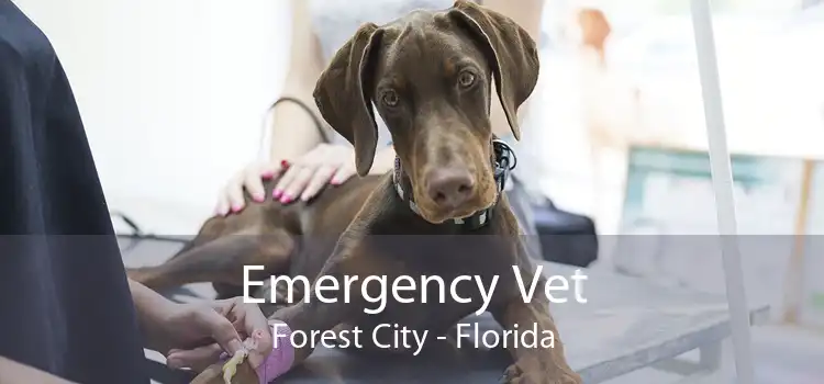 Emergency Vet Forest City - Florida