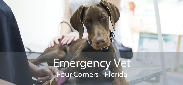 Emergency Vet Four Corners - Florida