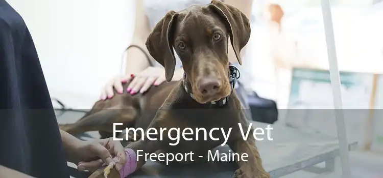 Emergency Vet Freeport - Maine