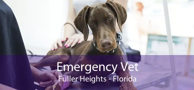 Emergency Vet Fuller Heights - Florida
