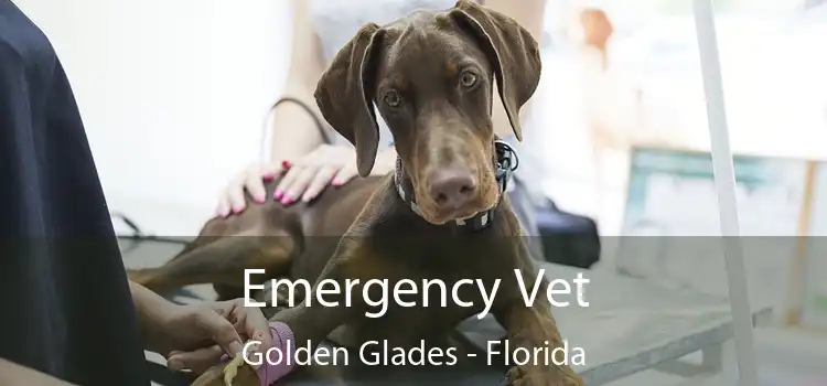 Emergency Vet Golden Glades - Florida