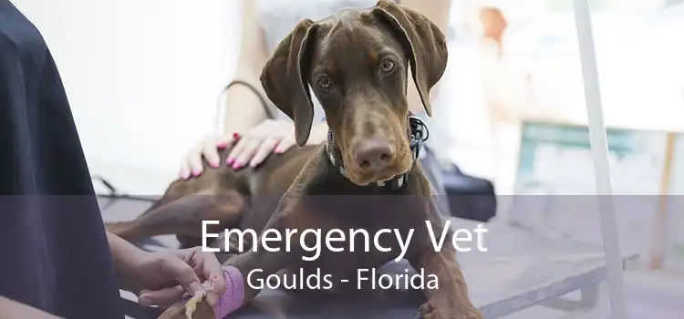 Emergency Vet Goulds - Florida