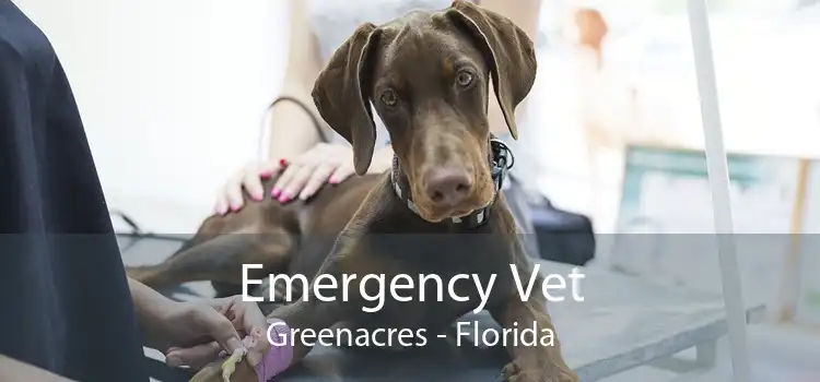 Emergency Vet Greenacres - Florida