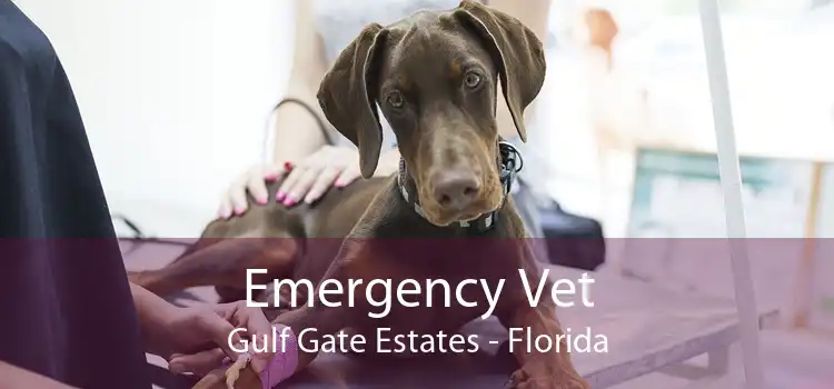 Emergency Vet Gulf Gate Estates - Florida