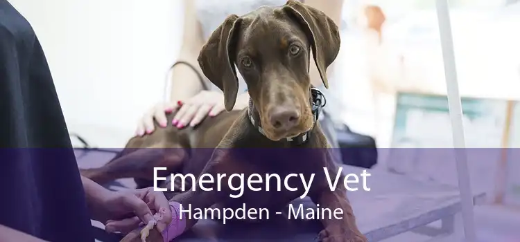 Emergency Vet Hampden - Maine
