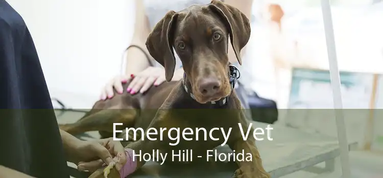 Emergency Vet Holly Hill - Florida