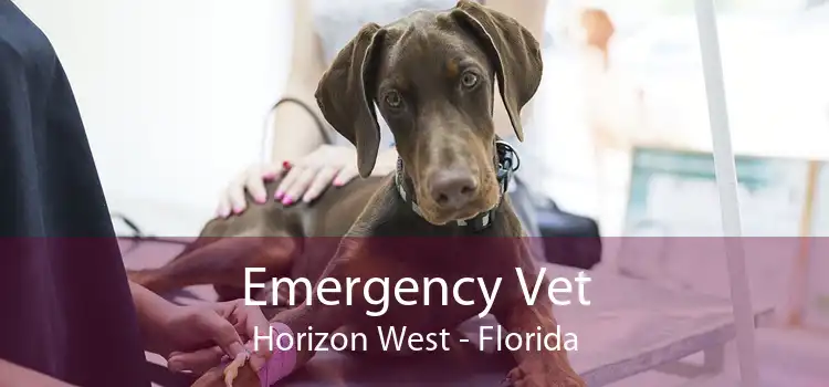 Emergency Vet Horizon West - Florida