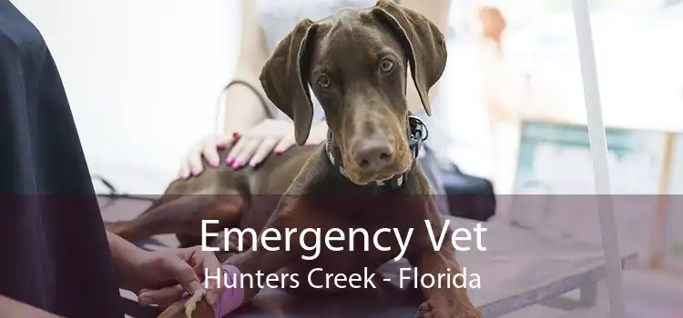 Emergency Vet Hunters Creek - Florida