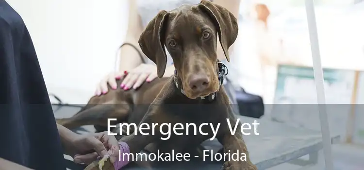 Emergency Vet Immokalee - Florida