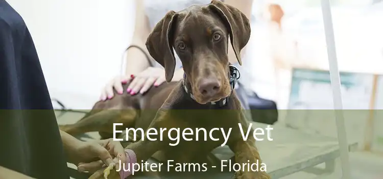 Emergency Vet Jupiter Farms - Florida