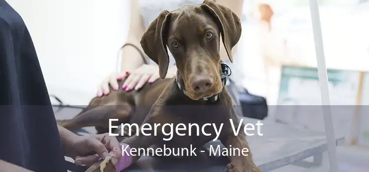 Emergency Vet Kennebunk - Maine