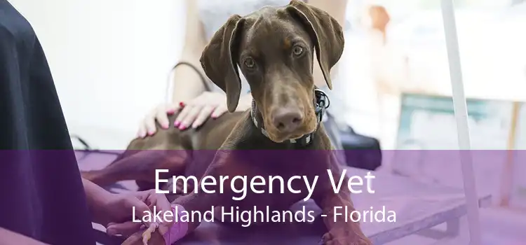 Emergency Vet Lakeland Highlands - Florida