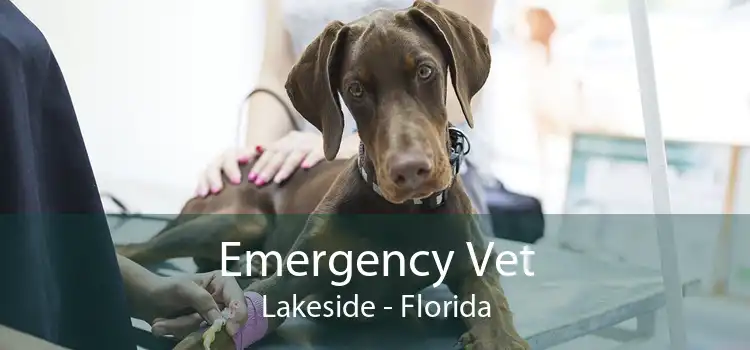 Emergency Vet Lakeside - Florida