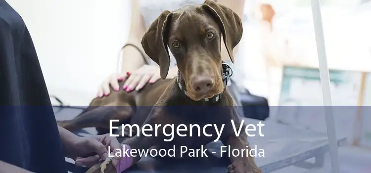 Emergency Vet Lakewood Park - Florida