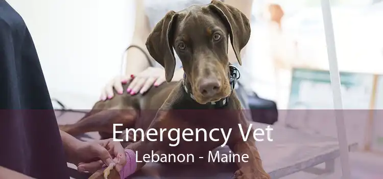 Emergency Vet Lebanon - Maine