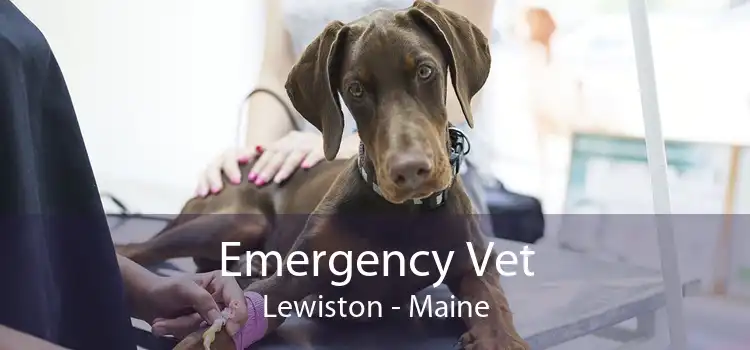 Emergency Vet Lewiston - Maine