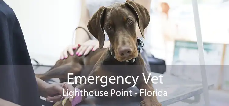 Emergency Vet Lighthouse Point - Florida