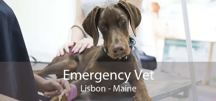 Emergency Vet Lisbon - Maine