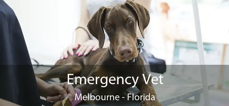 Emergency Vet Melbourne - Florida