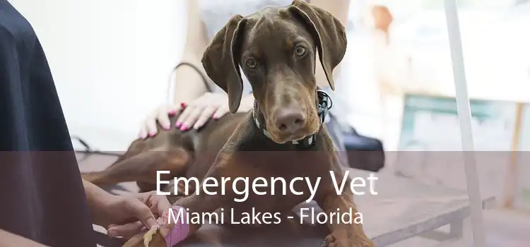 Emergency Vet Miami Lakes - Florida
