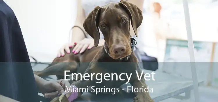 Emergency Vet Miami Springs - Florida