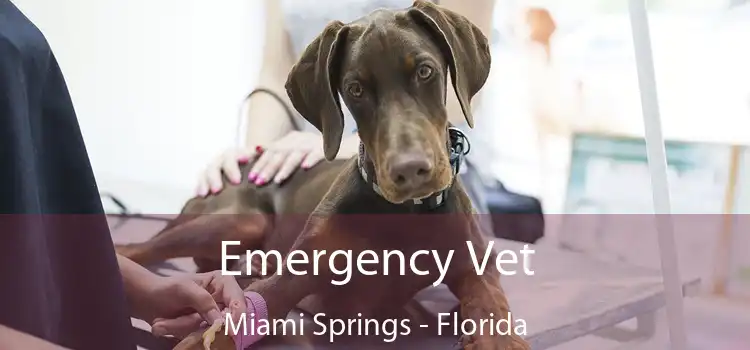 Emergency Vet Miami Springs - Florida