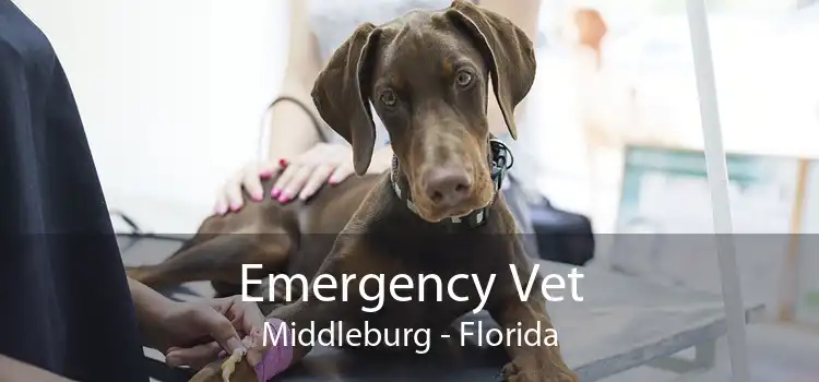 Emergency Vet Middleburg - Florida