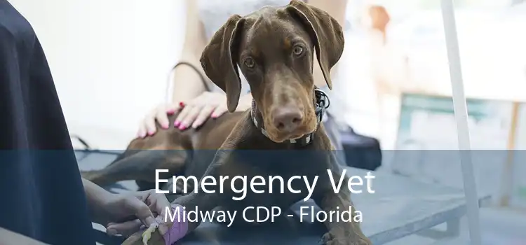 Emergency Vet Midway CDP - Florida