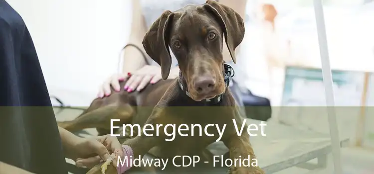 Emergency Vet Midway CDP - Florida