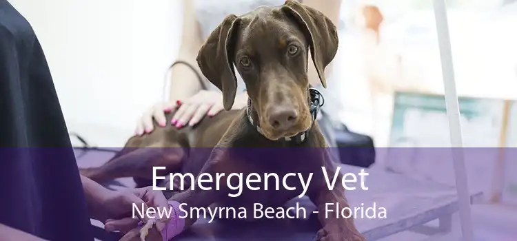 Emergency Vet New Smyrna Beach - Florida