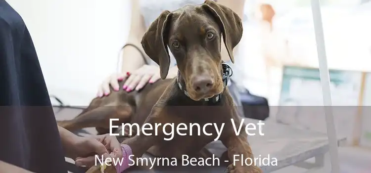 Emergency Vet New Smyrna Beach - Florida