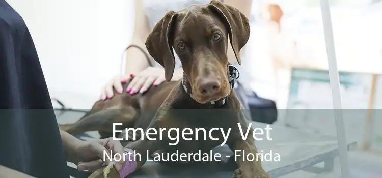 Emergency Vet North Lauderdale - Florida