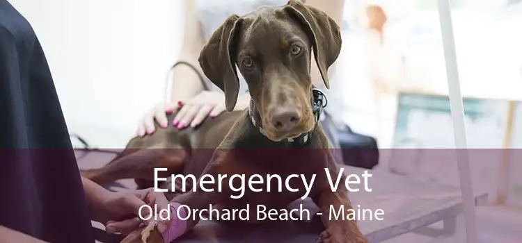 Emergency Vet Old Orchard Beach - Maine