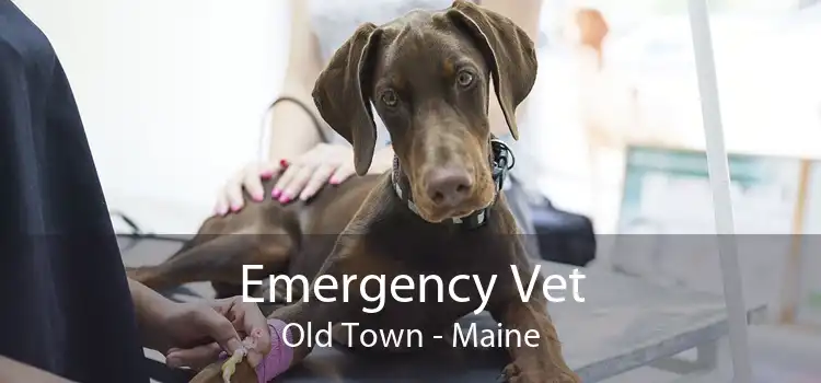 Emergency Vet Old Town - Maine
