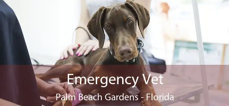 Emergency Vet Palm Beach Gardens - Florida