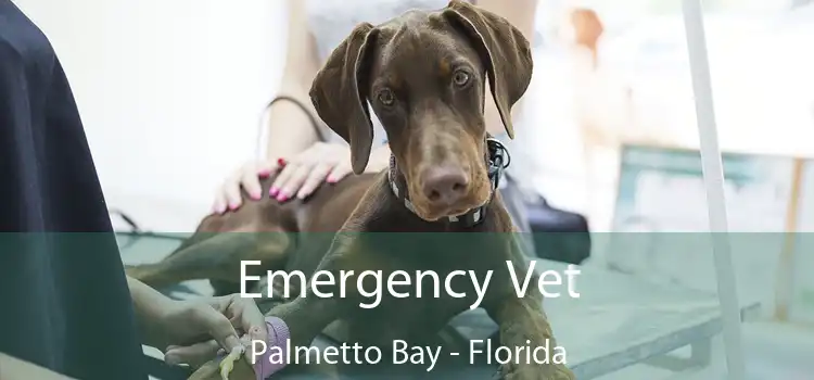 Emergency Vet Palmetto Bay - Florida