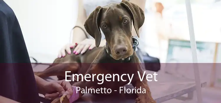 Emergency Vet Palmetto - Florida