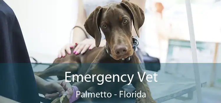 Emergency Vet Palmetto - Florida