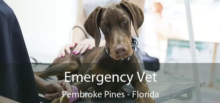 Emergency Vet Pembroke Pines - Florida