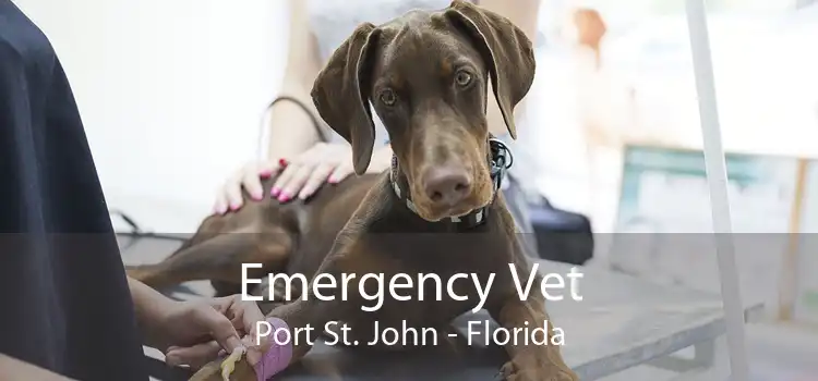 Emergency Vet Port St. John - Florida