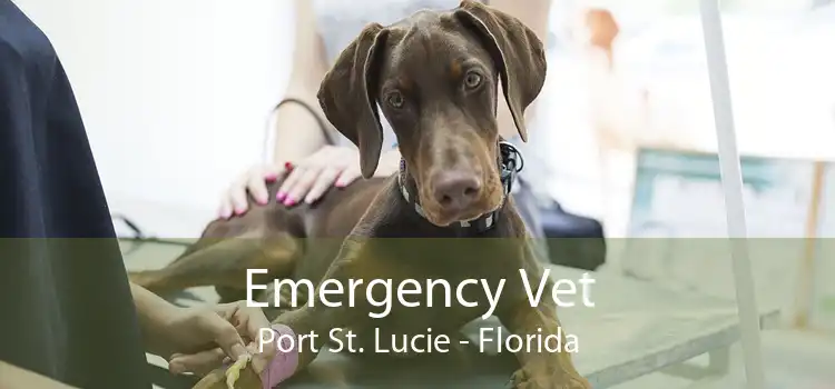 Emergency Vet Port St. Lucie - Florida