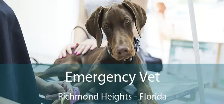 Emergency Vet Richmond Heights - Florida