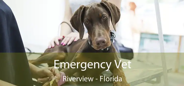 Emergency Vet Riverview - Florida
