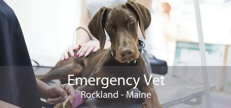 Emergency Vet Rockland - Maine